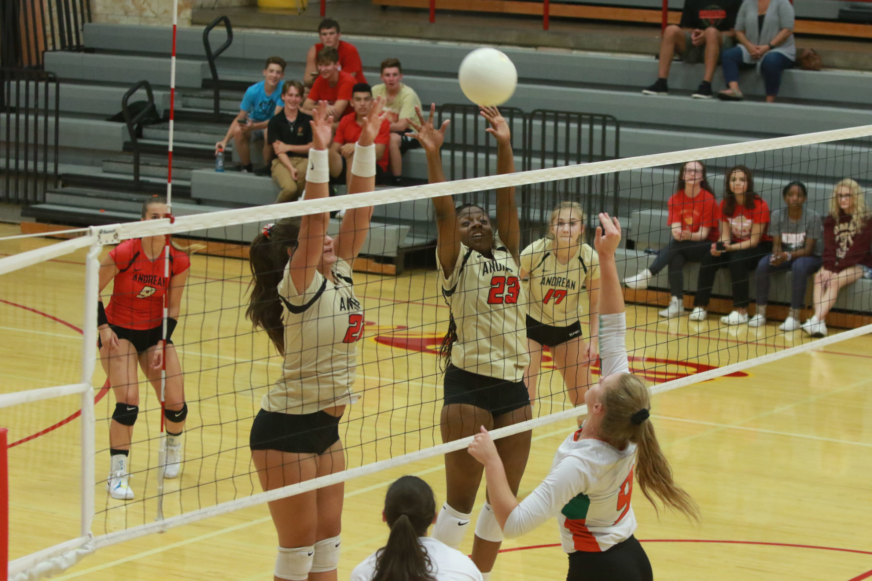 Gallery: Girls volleyball - Wheeler at Andrean